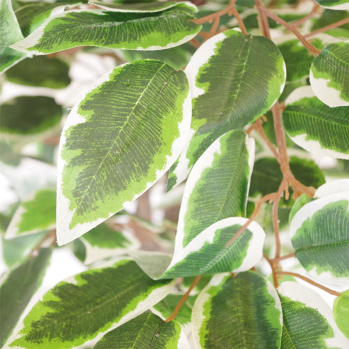 130cm LARGE Realistic White Edge Ficus Artificial Plant Tree Gold Metal Planter - Premium Quality-1