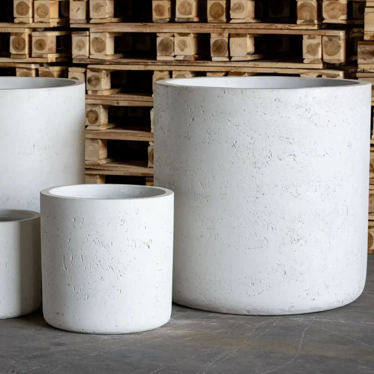 Aurella White Mist  Medium Concrete Cylinder Planter