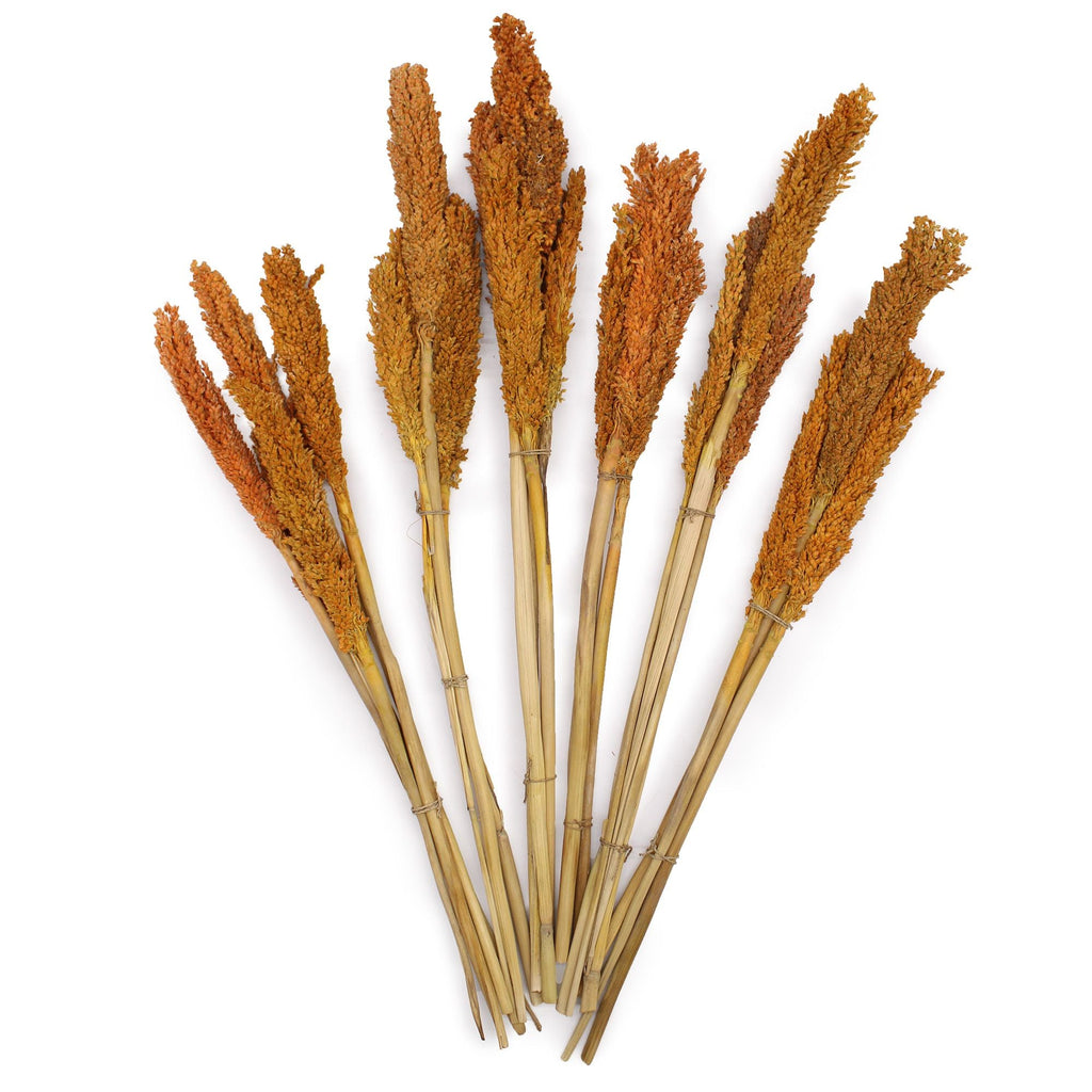 Cantal Grass Bunch - Orange-2