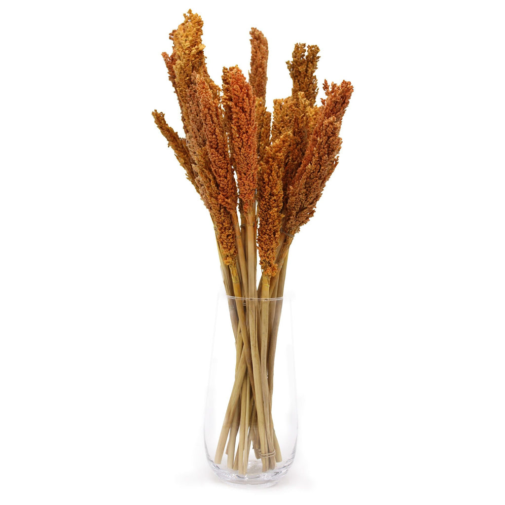 Cantal Grass Bunch - Orange-3