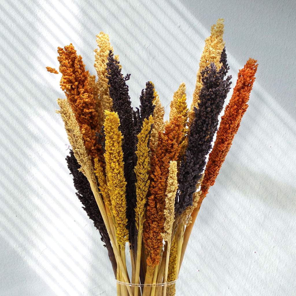 Cantal Grass Bunch - Orange-4