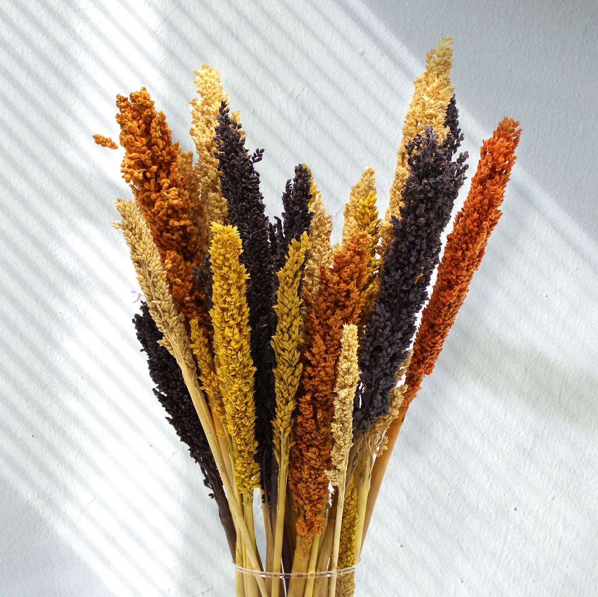 Cantal Grass Bunch - Orange-4