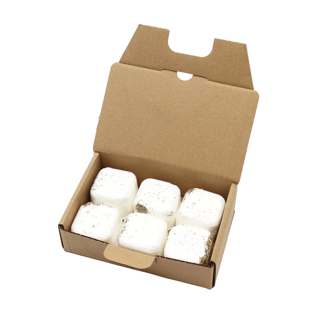 Set of 6 Aromatherapy Shower Steamers - Kick Start